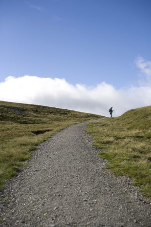 Man in a distance, looking at a map on a hillside path
