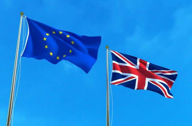 EU and UK flags flying against a blue sky